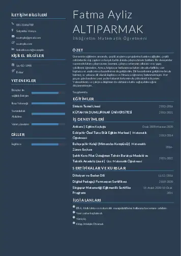 Matematik Öğretmeni Cv Örnekleri cv indir